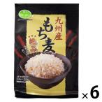  Kyushu производство мочи муги в виде палочки 50g×12 пакет входить 1 комплект (12 пакет входить ×6) камень . промышленность местного производства мочи муги шт упаковка небольшое количество .
