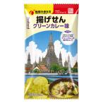地球の歩き方　揚げせん　グリーンカレー味 1個 スナック菓子 おつまみ 食べきり菓子