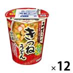 [ outlet ] cup лапша maru Chan .. когда . соль минут 30% off ... udon 1 комплект (1 шт ×12) Восток вода производство . соль 