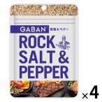 【アウトレット】GABAN岩塩＆ペパー袋入り 20g 1セット（1個 ×4） ハウス食品 塩コショー ファスナー付き ギャバン
