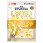 ゴン太の歯磨き専用ガム L8020乳酸菌入 SS バナナミルク味 国産 120g 1袋 マルカン 犬用 おやつ