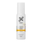  Lee ze утюг фундамент Karl для 110ml Kao 