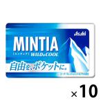 MINTIA(mintia) wild & прохладный 10 шт Asahi группа еда сладости планшет 