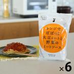 【ロハコ・アスクル限定】1パック5袋入 レンジでぱぱっと大豆ミートと野菜のミートソース 140g 6個 オリジナル パスタソース（イチオシ） オリジナル