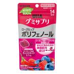 UHA тест . сахар UHAgmi supplement полифенол (14 день минут ) hot Berry тест 1 пакет (28 шарик входить ) функциональность отображать еда дополнение 