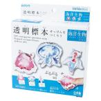 クツワ 透明標本せっけんをつくろう・生物 PT211B 1個