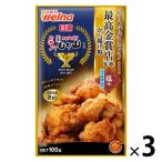 日清 から揚げ粉 塩味コク旨仕上げ からあげグランプリ最高金賞店監修 100g 1セット（1個×3）日清製粉ウェルナ