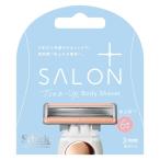  салон pra Stone выше корпус лезвие для бритья 1 коробка (3ko входить ) Schick Schic 