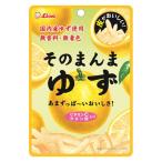 ライオン菓子 そのまんまゆず 23g 4903939015465 1個