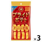 スリムバッグ プライドポテト ひとくちカット ぞっこん岩塩 1セット（1袋×3） 湖池屋 スナック菓子ポテトチップス