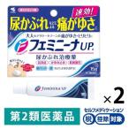 fe minnie naUP a 15g 2 шт. комплект Kobayashi производства лекарство *. исключая * моча ...[ no. 2 вид фармацевтический препарат ]