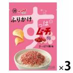ニチフリ食品 すっぱムーチョふりかけ さっぱり梅味 20g 1セット（1個×3）
