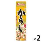 ハウス食品 ねりからし 43g 2本