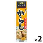 エスビー食品 S＆B 風味推薦 ねりからし 43g 2本