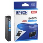 Epson чернильный картридж IB09CB 1 шт 