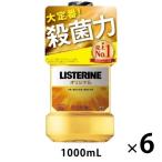 [ бесплатная доставка ] белка te Lynn (LISTERINE) оригинал 1000mL 1 комплект (6шт.@) мышь woshu причина . стерилизация лекарство для 