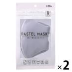 PASTELMASK（パステルマスク） グレー Ｒ 1セット（2袋） クロスプラス 繰り返し使える 洗える カラーマスク