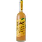 ko-tiaru мед лимон & Gin ja-500ml 1 шт. сырой . сироп yu поплавок еда 