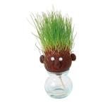 【アウトレット】【園芸用品】DoLABO hair LABO 水耕栽培セット ラウンド 68999 1個