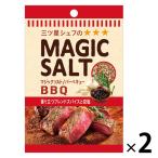 袋入りマジックソルト バーベキュー 20g 2個 エスビー食品 岩塩 スパイス ハーブ
