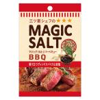 袋入りマジックソルト バーベキュー 20g 1個 エスビー食品 岩塩 スパイス ハーブ