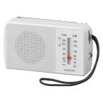  маленький Izumi . контейнер AM/FM радио ( горизонтальный ) SAD7229W 1 шт. 