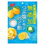 【アウトレット】塩分チャージ 飴 個包装 お配り菓子 無添加 つぶ塩レモン のど飴 90g 1個