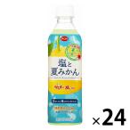 【アウトレット】えひめ飲料　POM　塩と夏みかん　490ml　1箱（24本入）
