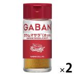【アウトレット】GABAN ギャバン ガラムマサラ（ホット）＜パウダー＞ 17g 1セット（1個×2） ハウス食品