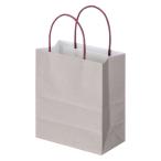 askru каталог утилизация бумага рука .. пакет [Come bag| cam сумка ]180×210×100mm 1 пакет (50 листов входит ) оригинал 
