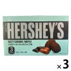 チョコレートワッフル　個包装 ハーシー　チョコワッフルソルティーキャラメル（2枚×3袋入り） 1セット（1個×3）