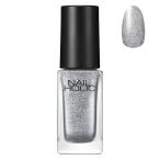 NAIL HOLIC(ネイルホリック)　モードカラーズ SV072D 5mL コ