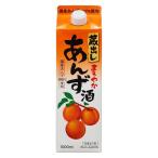【アウトレット】東亜酒造 蔵出し まろやかあんず酒 1
