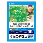  Sanwa Supply струйный для тончайший бумага A4 размер 1 JP-EM5NA4-100 1 шт 