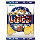  легкая закуска еда ... размер картофель chip s.. говядина 1 шт 