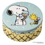 [ outlet ]STEAM CREAM( пар крем ) Peanuts мороженое . стул .75g