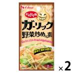 にんにく族　ガーリック野菜炒めの素 1セット（1個×2） 時短 料理の素　ハウス食品