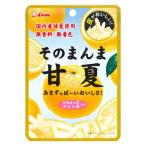 ドライフルール 食べきりサイズ そのまんま甘夏 1個