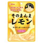 ドライフルール 食べきりサイズ そのまんまレモン 1個