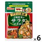 【アウトレット】マ・マー 2種野菜のサラダマカロニ 120g チャック付 1セット（1個×6）日清製粉ウェルナ