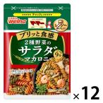 【アウトレット】マ・マー 2種野菜のサラダマカロニ 120g チャック付 1セット（1個×12）日清製粉ウェルナ