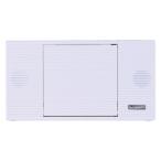 （セール）東芝ライフスタイル Bluetooth対応CDラジオ AXーAN1（W）