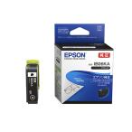  Epson оригинальный чернила IB06KA( очки ) черный 1 шт 