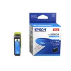  Epson оригинальный чернила IB06CA( очки ) Cyan 1 шт 