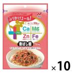 ニチフリ ふりかけエール プラス 香ばし鮭 22g 1セット（1個×10）
