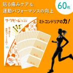 リ・ソビーム シールタイプワイド 60枚 マラソン ゴルフ サッカー スポーツケア マッサージ ツボ 健康シール 肩 腰 膝 関節 筋肉 痛み _097