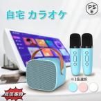 カラオケ 家庭用 カラオケセット 子ども カラオケマイク ワイヤレスマイクシステム1/ 2ハンドヘルドマイク 子供 スピーカーおしゃれ pc キャンプ 車内