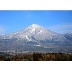 絵画風 壁紙ポスター (はがせるシール式