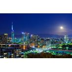 絵画風 壁紙ポスター  福岡タワーとスー