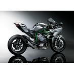 ショッピングknh 絵画風 壁紙ポスター (はがせるシール式) カワサキ Ninja ニンジャ H2R 2017年 忍者 バイク キャラクロ KNH2-005A2(A2版 594mm×420mm)＜日本製＞